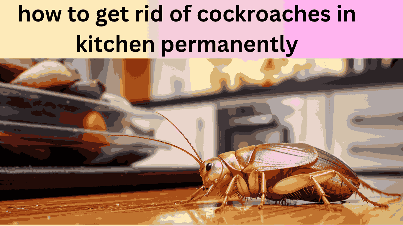 Best Guide on how to get rid of cockroaches in kitchen permanently 2025