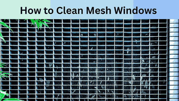 How to Clean Mesh Windows